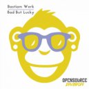 Bastiam Werk - Bad But Lucky (Original Mix)
