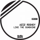 Aziz Roshdy feat Heba Elmalt - Like The Sunshine