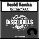 David Kawka - Rainforest (Radio Edit)