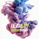 Animal Culture - Legacy