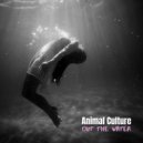 Animal Culture - Out The Water (Original mix)