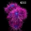 DJ Karas - Plucked Life (Raduga Remix)