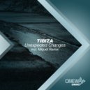 Tibiza - Unexpected Changes