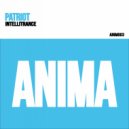 Patriot - Intellitrance (Original Mix)