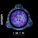 IMIX - Reclaim Your Mind