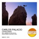 Carlos Palacio - Capricornio (Mathew Lynch Remix)