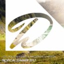 Lost House Rhythms & Waldemar Ivarsson - Tropical Summer 2017 (Original Mix)