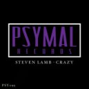 Steven Lamb - Crazy (Original Mix)