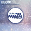Hibernate - Cool It's Snowing