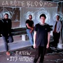 La Béte Blooms - What You Want
