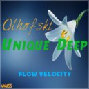 Olhofski - Flow Velocity (Original Mix)