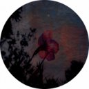 Manager - Moon Light