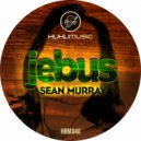 Sean Murray - Just Move (Original Mix)