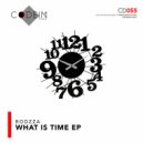 Bodzza - What Is Time (Original Mix)