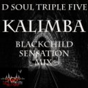 D Soul Triplefive - Kalimba