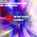 Raccoon - Reasonable Iron