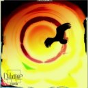 Important - Take A Look at The Future