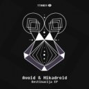 Avoid, Mikadroid - Destinacija 1 (Original Mix)