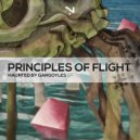 Principles Of Flight - Gargoyles (Original Mix)