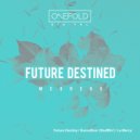 McGrego - Future Destiny (Original Mix)
