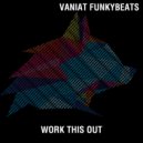 Vaniat Funkybeats - Work This Out