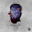 Bambook - Not The One (Flashmob Remix)