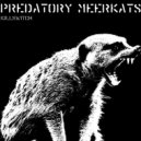 Predatory Meerkats - Trash & Bass (Original Mix)