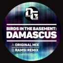 Birds In The Basement - Damascus