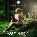 Wald Geist - What A Mushroom (Original Mix)