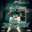 Pa!nt - Like A Dolphin