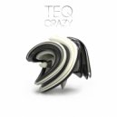 TEQ - Crazy (Original Mix)