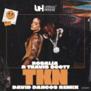 Rosalía & Travis Scott - TKN (David Dancos Remix)