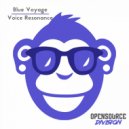Blue Voyage - Voice Resonance (Original Mix)