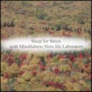 Mindfulness Slow Life Laboratory - Cave & Self Pleasure (Original Mix)