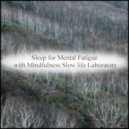 Mindfulness Slow Life Laboratory - Rubens & Mindfulness (Original Mix)