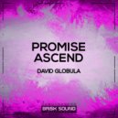 David Globula - Promise (Original Mix)