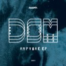 DSM - Rapture
