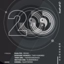 Section One - Submersible