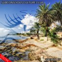 Subconscious Culture Club - Eyebiza