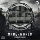 Synergetic Emotion - Underworld (Original Mix)