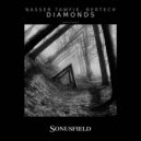 Nasser Tawfik & Bertech - Manhattan