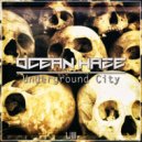 Ocean Haze & Psychedelic Pulse - Ages Of The Experience (Original Mix)