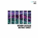 Anthony Castaldo - Many Reasons