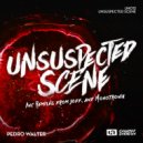 Pedro Walter - Unsuspected Scene (Monotronik Remix)