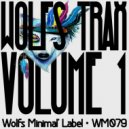 Gameplayer - The Wolf & The Lion