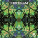Krishna, Illuzionoize - Spiral Viral