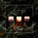 The Ambientalist - Remedy