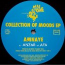 Amnaye - Anzar (Original Mix)