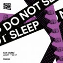 Ray Mono - What It Is