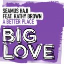 Seamus Haji featuring Kathy Brown - A Better Place (Extended Mix)
